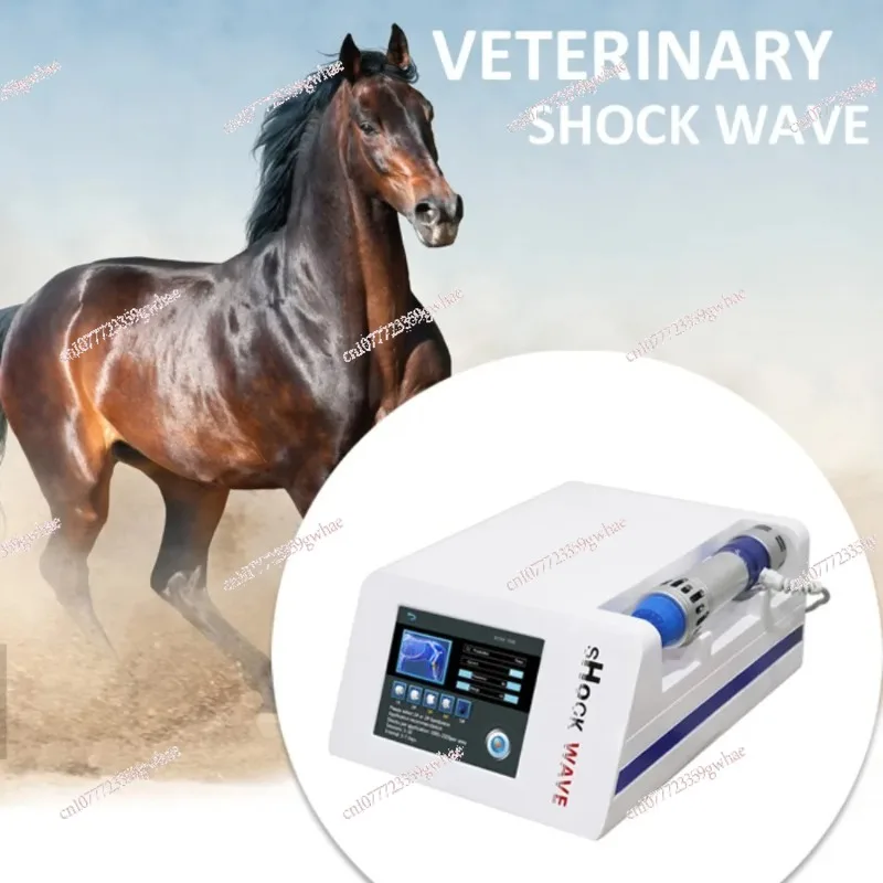 

Portable Horse Animals Veterinary Shockwave Therapy Machine, Equine Shock Wave