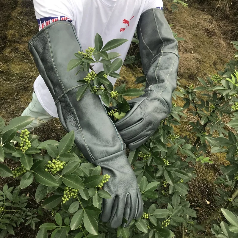 

Коровья кожа - перчатки для обрезки, урожая перца, розы, кактуса, шипов и устойчивые к порезам