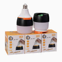 New Design Emergency Removable Bulb 18650 Lithium Battery Outdoor Camping Light Smart Charging Bulb Light 30W 1200mah 8000K