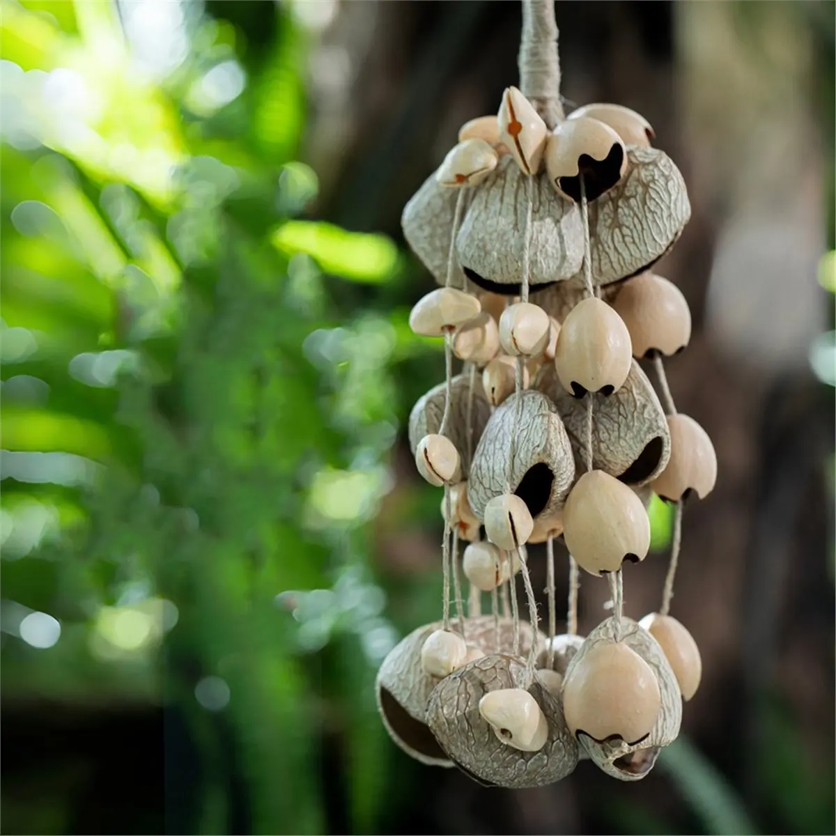 [MEGA SOLDE] Sonotérapie : Instruments Sonores en Coquilles de Graines Naturelles (3 Types) pour la Méditation et la Pleine Cons
