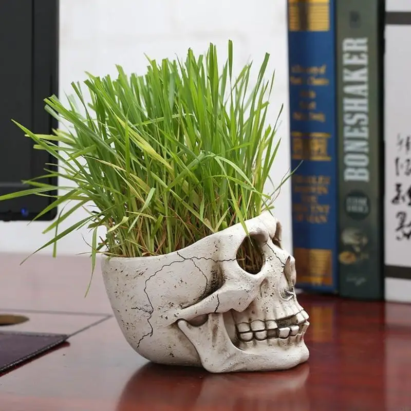 

Resin Skull for Head Shaped Flower Pot Planter Container Ornaments Home Garden D