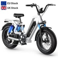 Electric Bicycle 750W Brushless Motor 48V25AH Lithium Battery E-Bike Hydraulic Brake 20*4.0 Inch Fat Tire Mountain Electric Bike