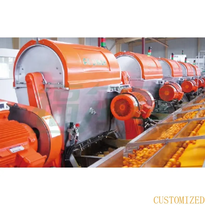1-5t/h High Quality Mini Tomato Paste Production Line Small Capacity Fully Automatic From Washing To Bag Packaging