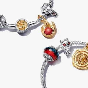 925 Silber Accounts Pandora Charm Armband für Frauen, Wolf, Drache, Seriensitz, Ring, Ohrringe, Halskette, Anhänger, Schmuck, neu 10 Hauptverkäufe Pandora Ohrring - №4