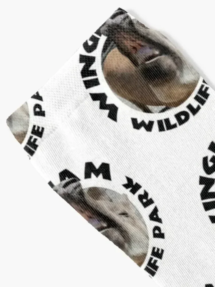 Time For Your Close-up Socks winter thermal halloween cycling Non-slip Socks Ladies Men's