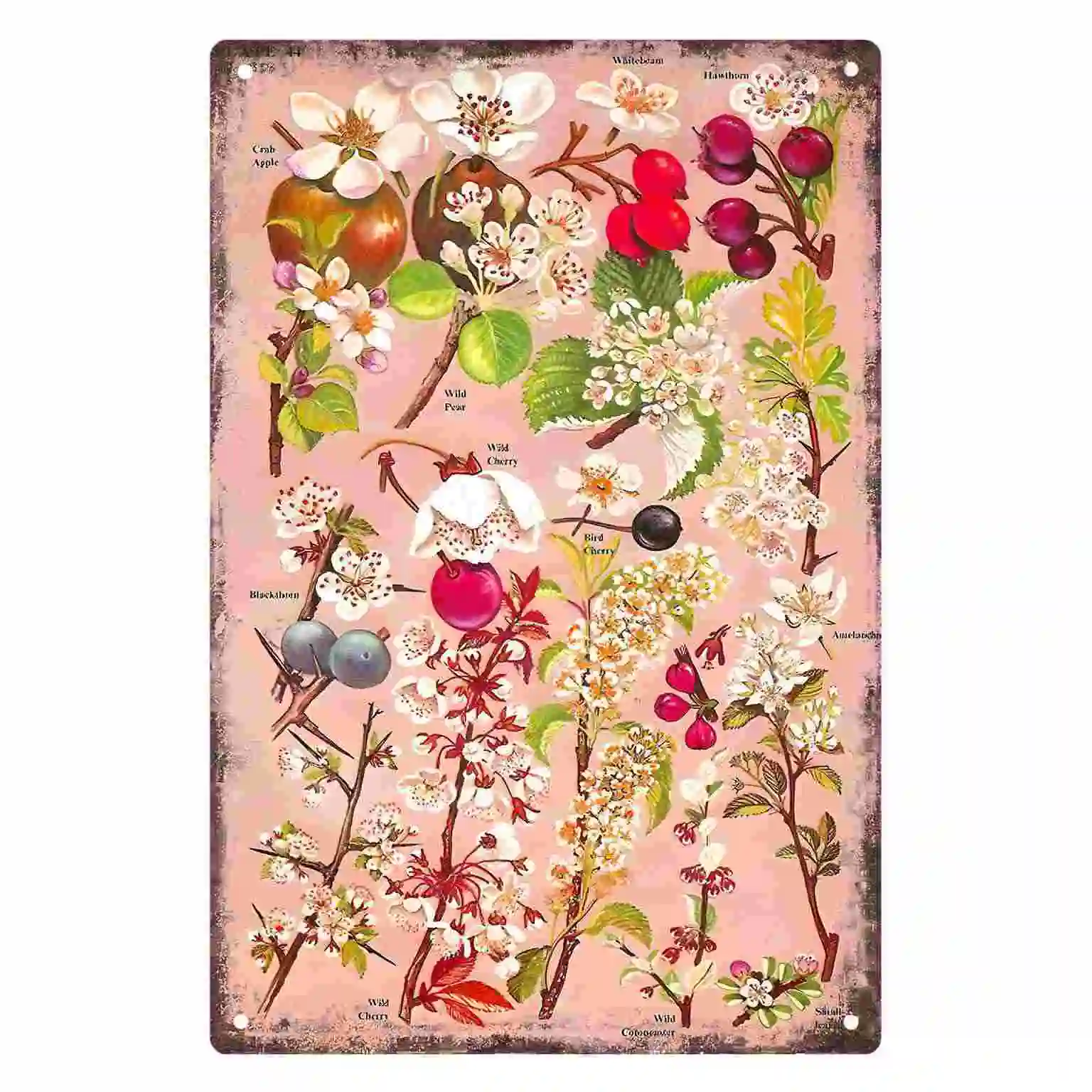 2D FLAT 1pc Vintage Botanical Fruit Blossom Poster Decoration for Home Cafe Bedroom Living Room And Garden