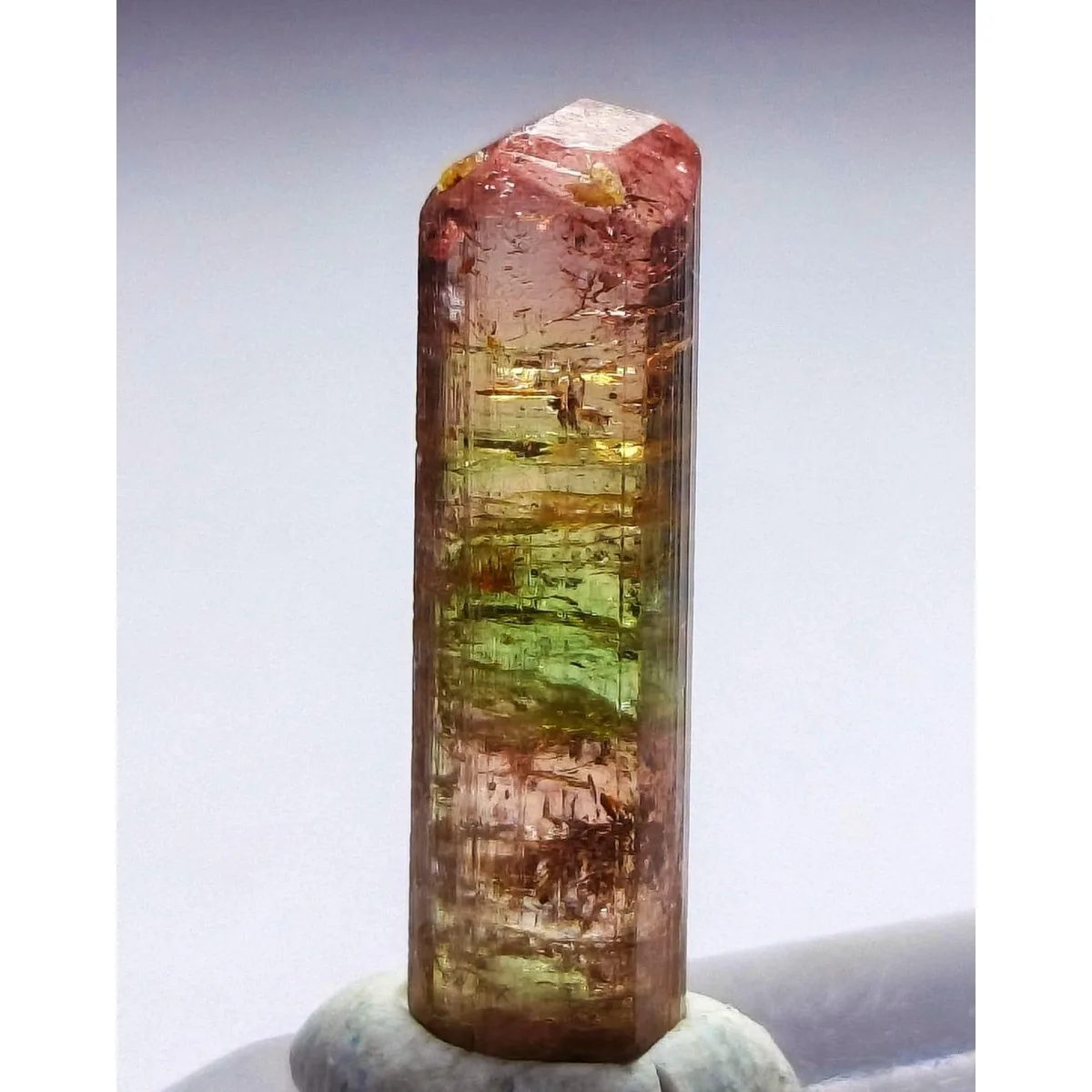 Brazilian Elbaite Crystal Samples, 10g 5-15mm Mixed Colors, Display Box for Stone Lovers