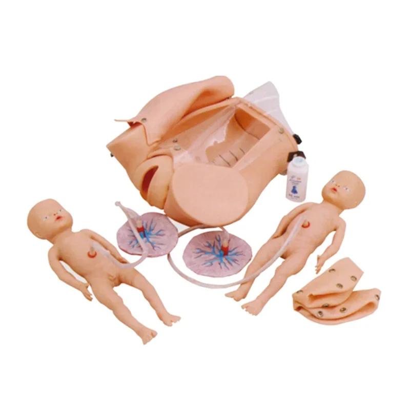 

Bix-f52 High Quality Medical Teaching Childbirth Education Manikin