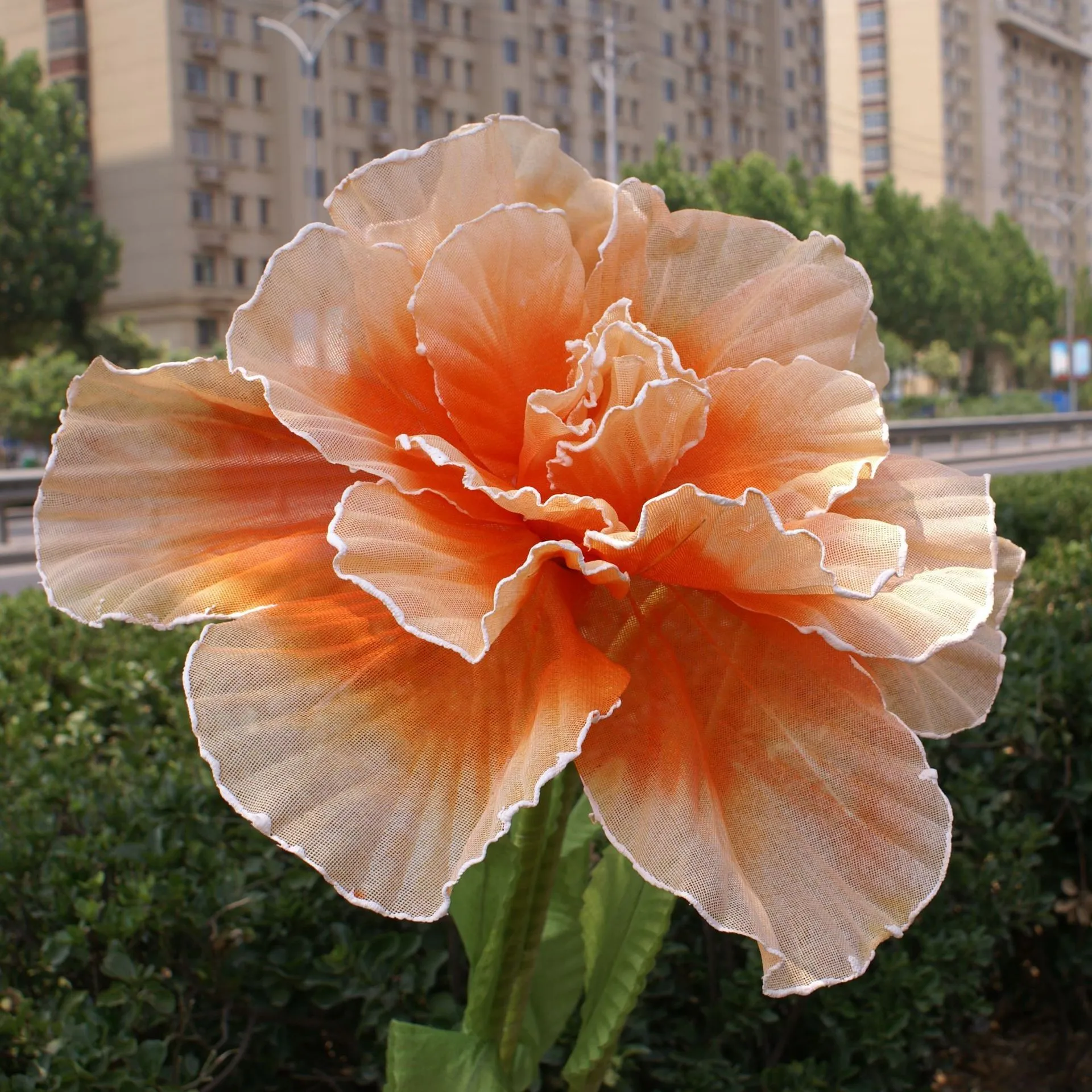 DIA30-80CM Artificial Large Rose Flower Head Giant Flower Props Wedding Home Guide Background Decoration Photo Props