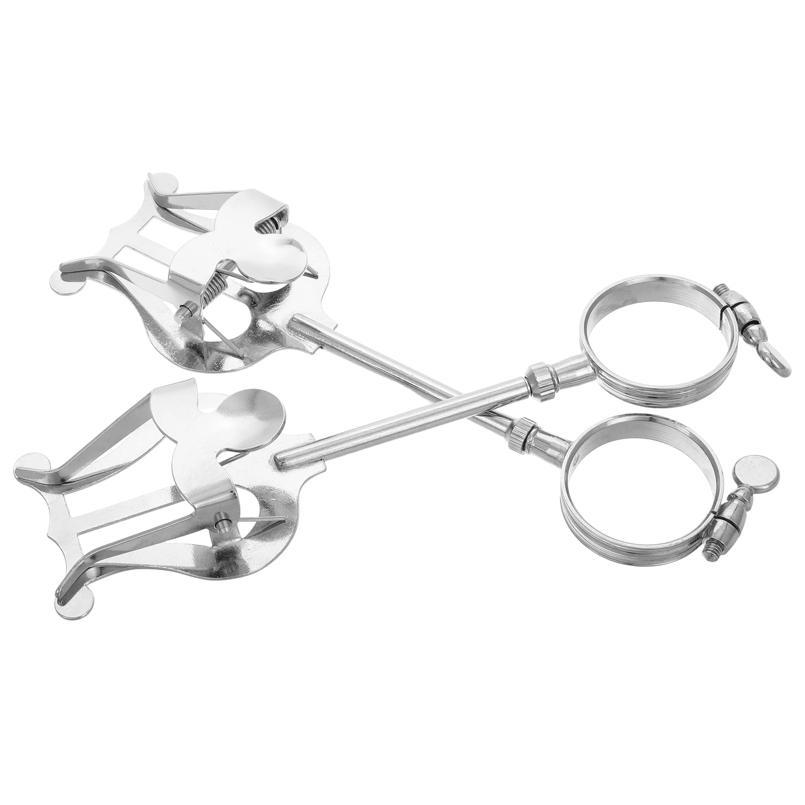 

2pcs Clarinet Sheet Music Holder Portable Adjustable Buckle Lyre Clip Stable St Small Bracket for Practice Performance