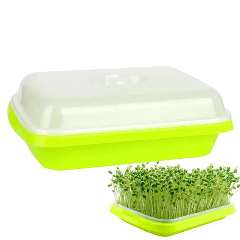 Soil-Free Microgreens Growing Trays Nursery Tray Seed Germination Tray Wheatgrass Cat Grass Seedling Planting Trays for Garden