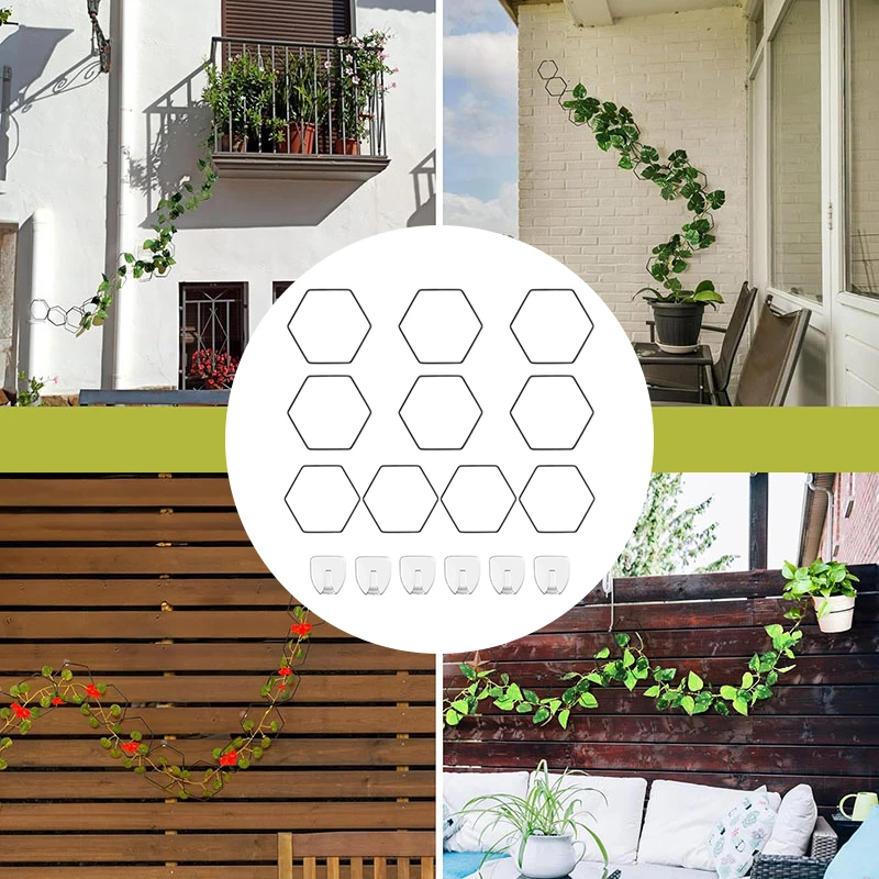 Creative Hexagonal Iron Circle Trellis Plant Climbing Trellis With Black Anti-Rust Coating Garden Climbing Plant Trellis