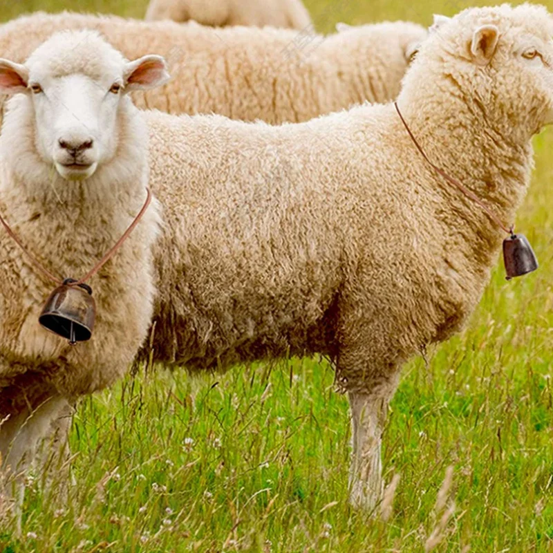 

12 Pcs Metal Cow Bell, Cowbell Retro Bell For Horse Sheep Grazing Copper, Cow Bells Noise Makers-AT35