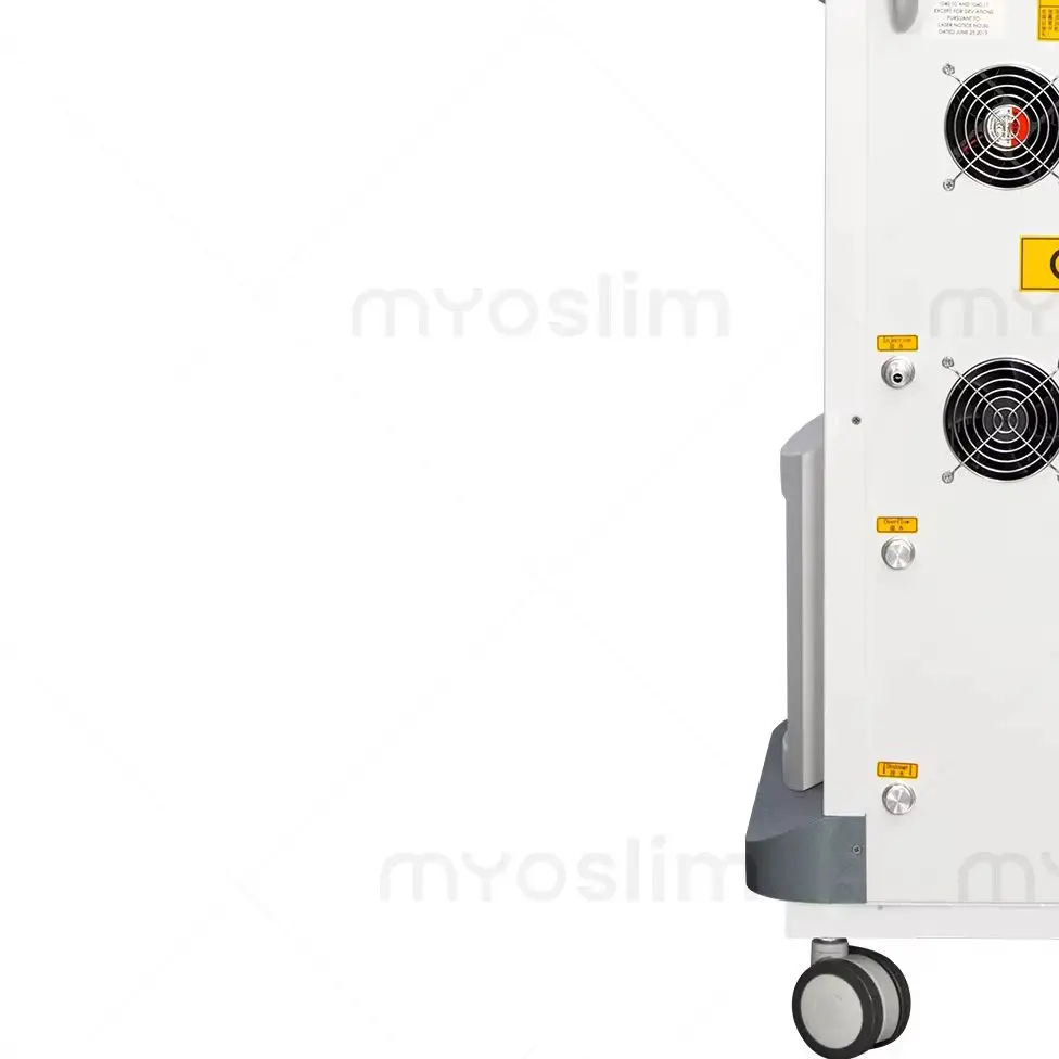

Professional Vertical CO2 Fractional Beauty Device 60W Skin Resurfacing Machine with Triple Handpieces for Facial Renewal Inti