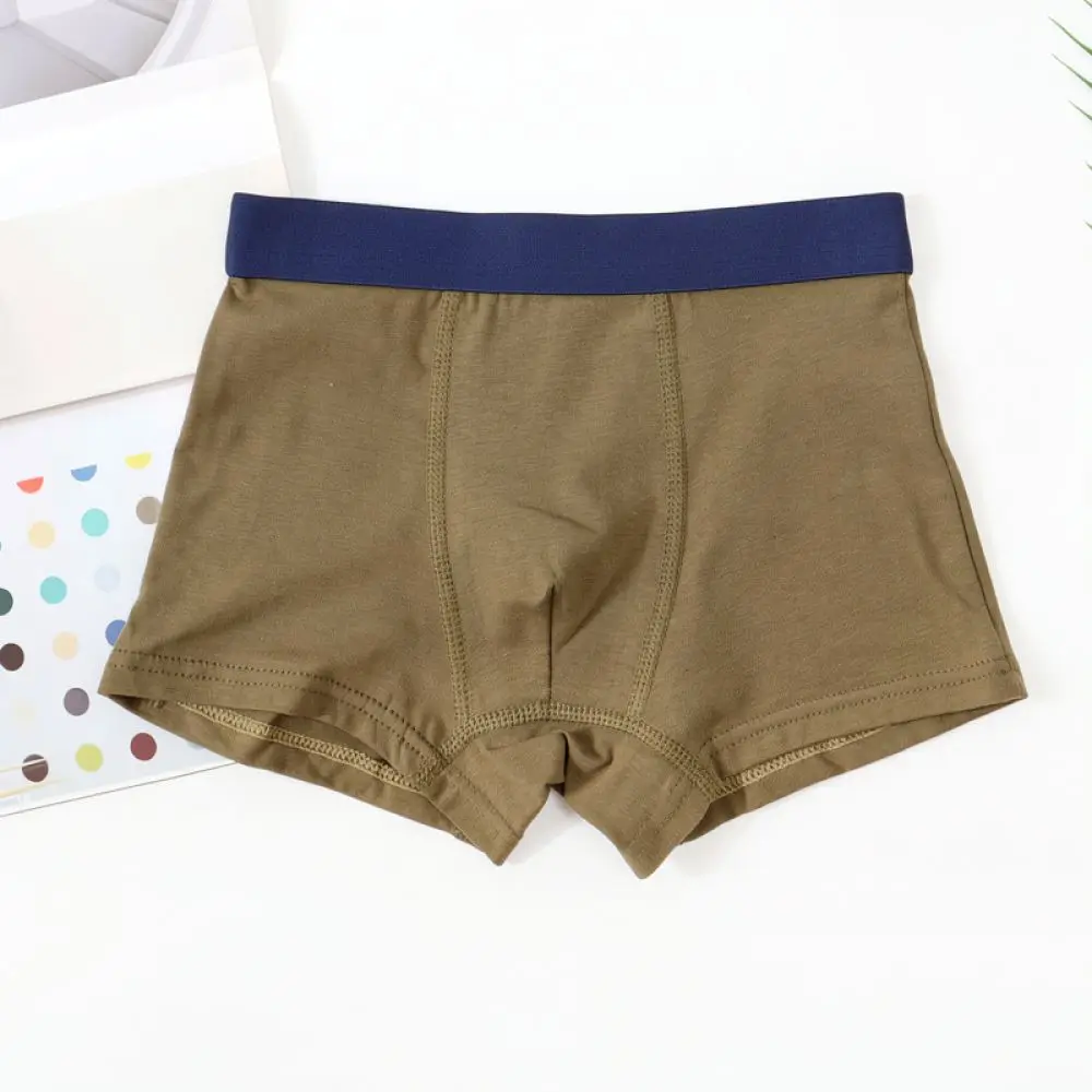 Kids Cotton Underwear Boys Boxer Briefs Breathable Soft Comfortable Children Underpants Toddler Shorts For Suinian Daily - view 6
