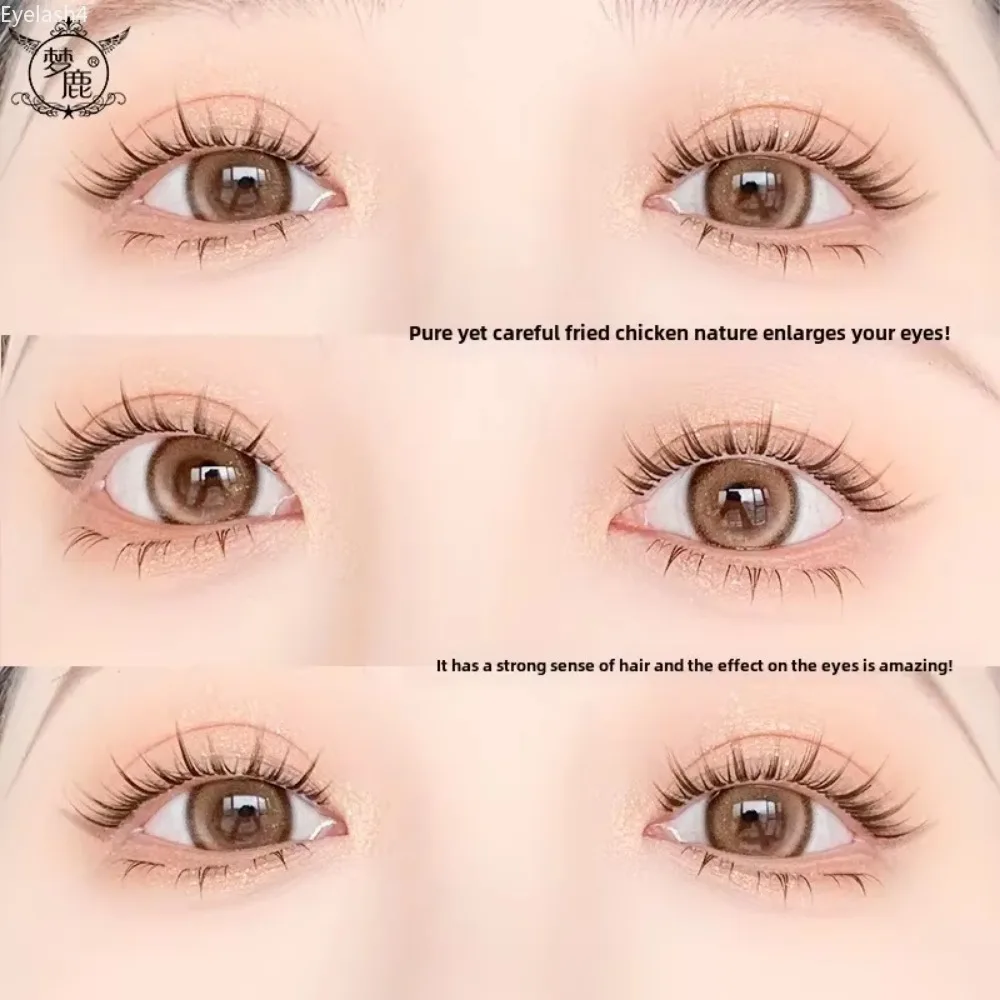 5 Paar falsche Wimpern, natürlich aussehende Make-up-Werkzeuge und Zubehör, verlängerte Wimpern, einfach für Anfänger, natürliche Wimpernstreifen