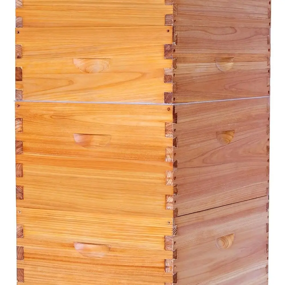 

Complete Langstroth Beehives with 10 Wax-Coated Frames and Foundations (2 Deep, 2 Medium Boxes)