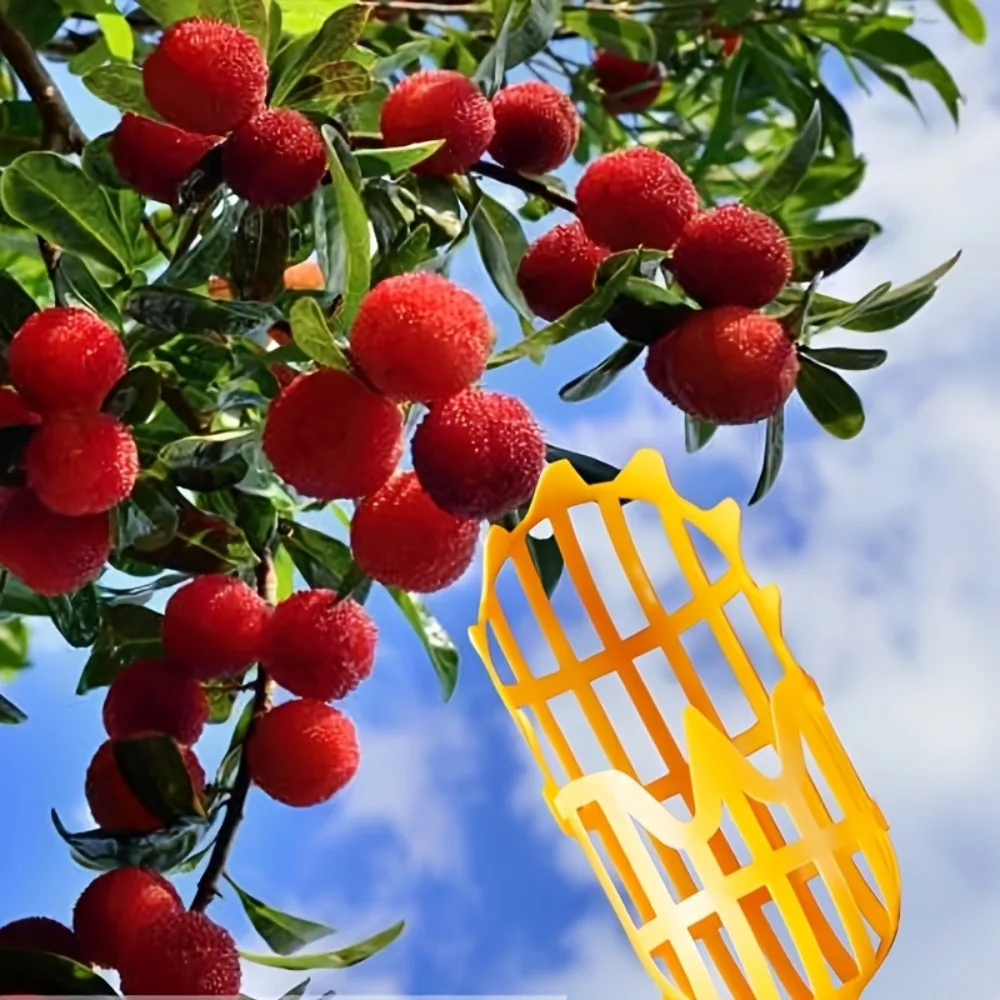 1PC Universal fruit picker for loquats, bayberries, plums, and other fruits – a must-have tool for picking fruit from heights