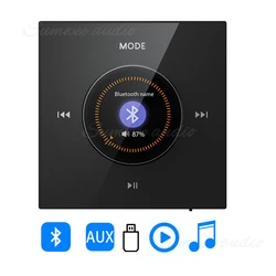 Mini panneau d'amplificateur mural, compatible Bluetooth, HiFi Home cinéma, son stéréo, audio