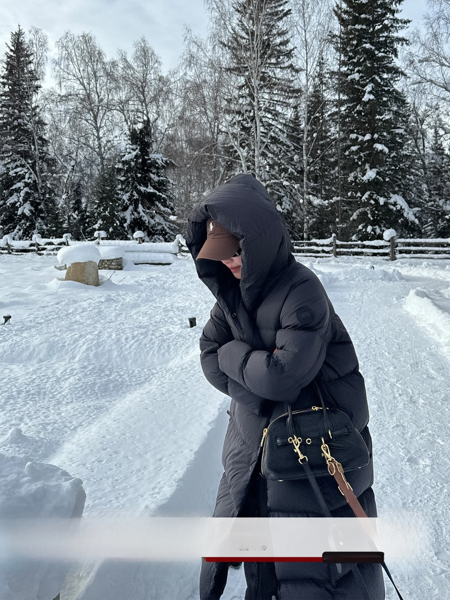 

Женская удлиненная куртка Le Alfaionline из гусиного пуха: очень теплая, стильная, для повседневной носки, в корейском стиле, утолщенная