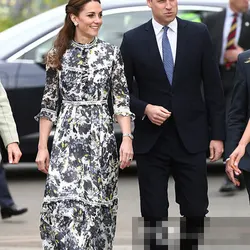 Women's Princess Kate Lace Embroidery Dress, Patchwork Print, Stand Collar, A-Line Dresses, Fashion, 81507