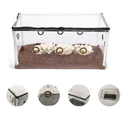 Portable Mushroom Grow Planter Growing Still Life Air Box Easy To Assemble Mushroom Grow Bags Horticulture Supplies
