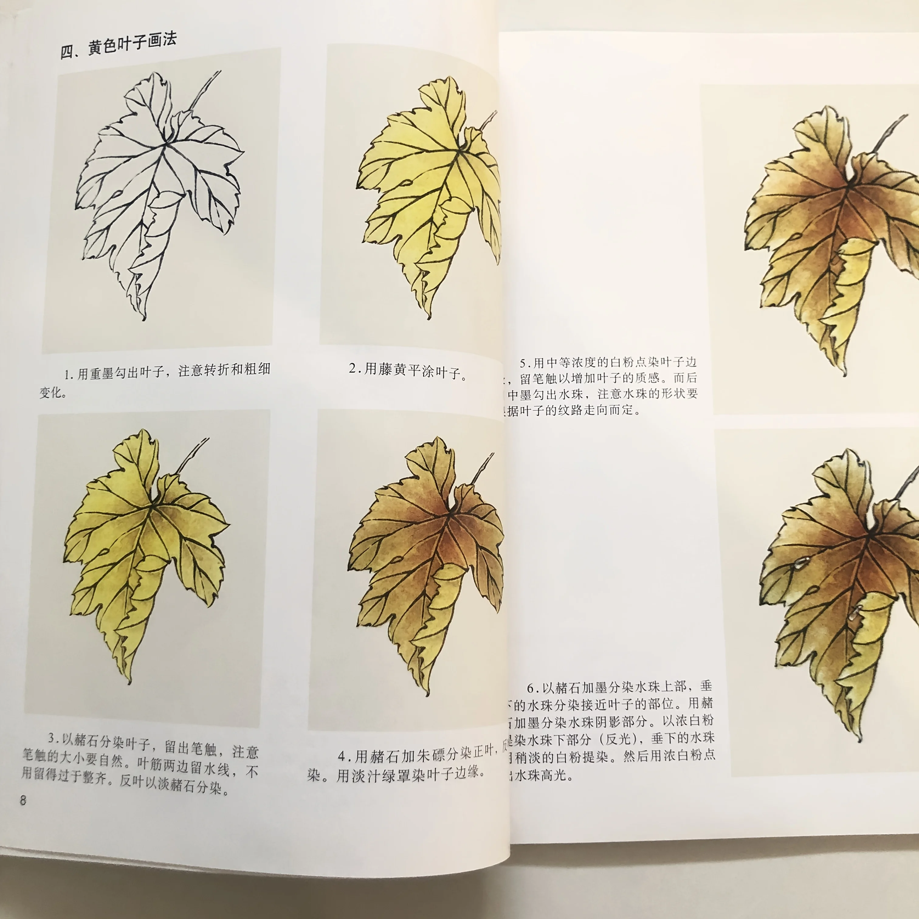 Beginner's Grape Painting: Gongbi Techniques for Translucent Fruit Texture