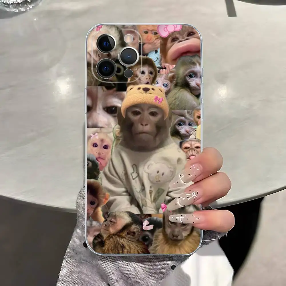 الإبداعية القرد نمط قضية الهاتف آيفون 17 16 15 8 7 6 6S زائد X SE XR XS 14 11 12 13 ميني برو ماكس المحمول