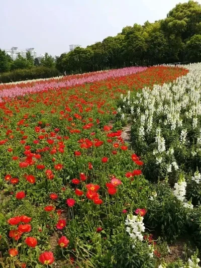 

Лидер продаж, 7-дюймовый роскошный пирог из нержавеющей стали с топором, долото для льда, посуда для удаления льда, барменские инструменты