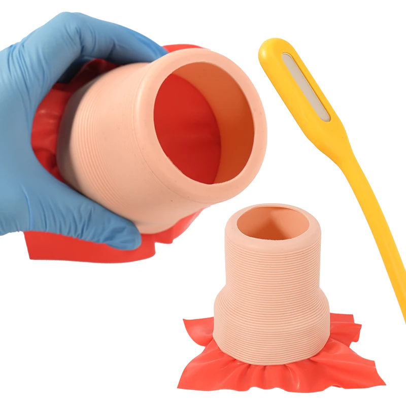 

Intraoral Suture Knotting Practice Set with LED Light Rubber Suture Training Model Oral Surgery Skill Training