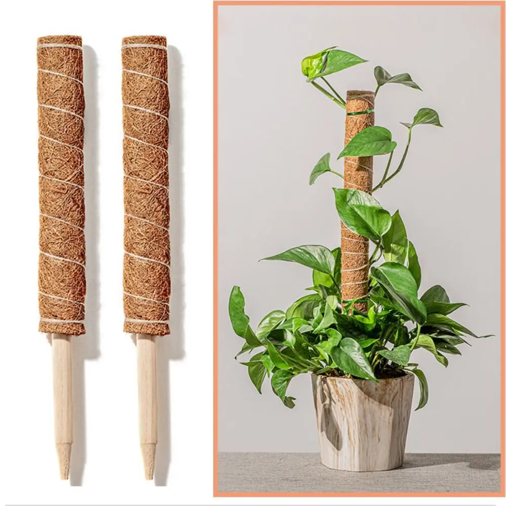 

Detachable Moss Pole Plants Climbing Support Extension Palm Vines Stick Plants Creepers to Grow Upwards Gardening Tools