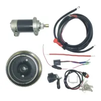 Electric Start Motor Flywheel Kit For YAMAHA F15 15HP 4 stroke 6AGK