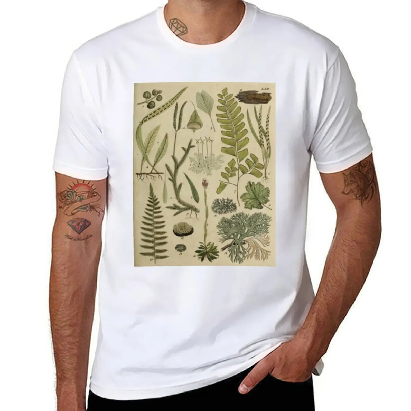 Ferns And Lichen T-Shirt t shirt for man cotton t shirts high quality graphic t shirts for man T-shirt