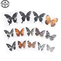 1Pc Real Butterfly Specimen Natural Colorful Education Teaching Home Decor Artwork Material Gift Ornament DIY