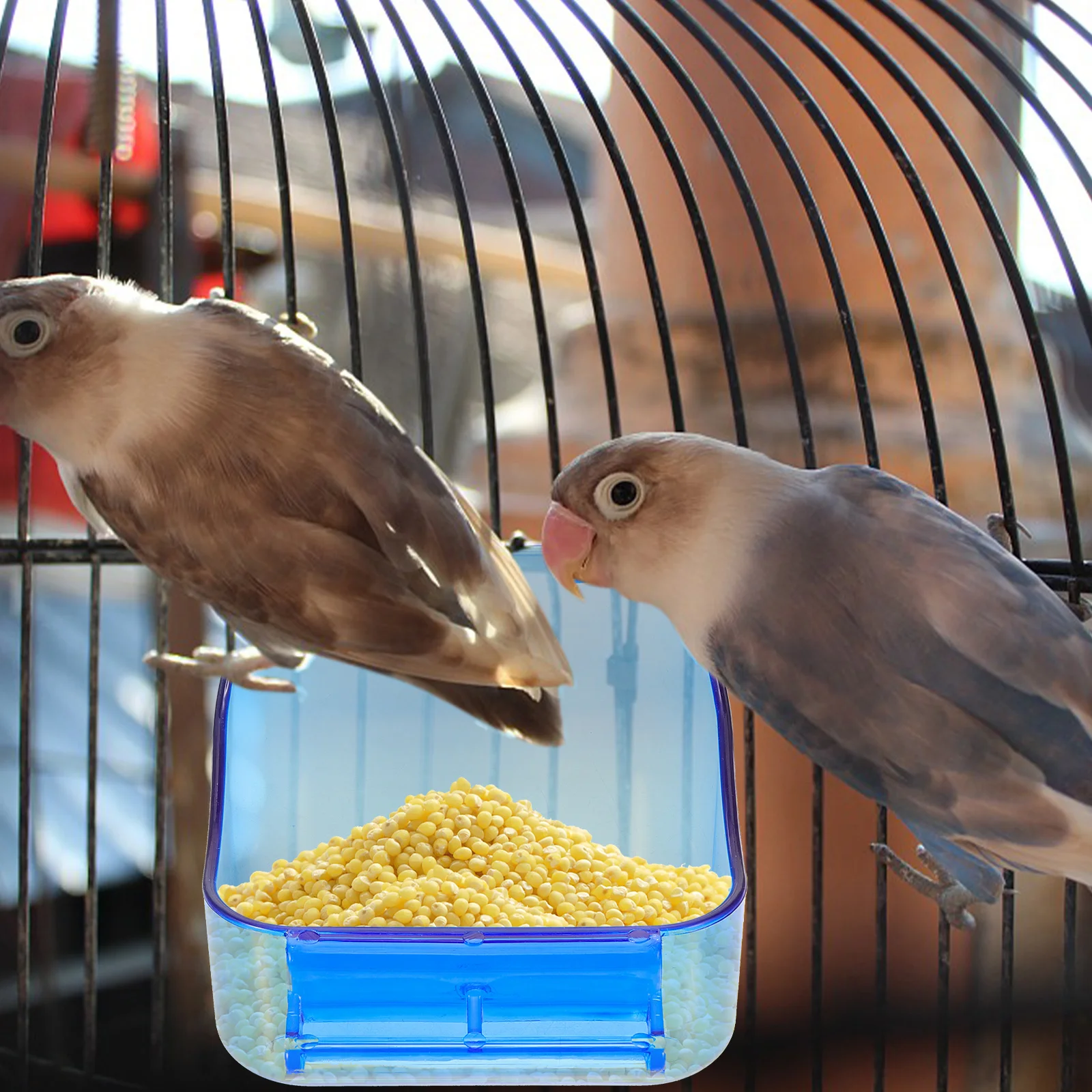 

Reliable Parrot Cage Bath Tub Durable Leak-Proof Bird Bath Basin Smooth Edges Practical Bird Bathing Container