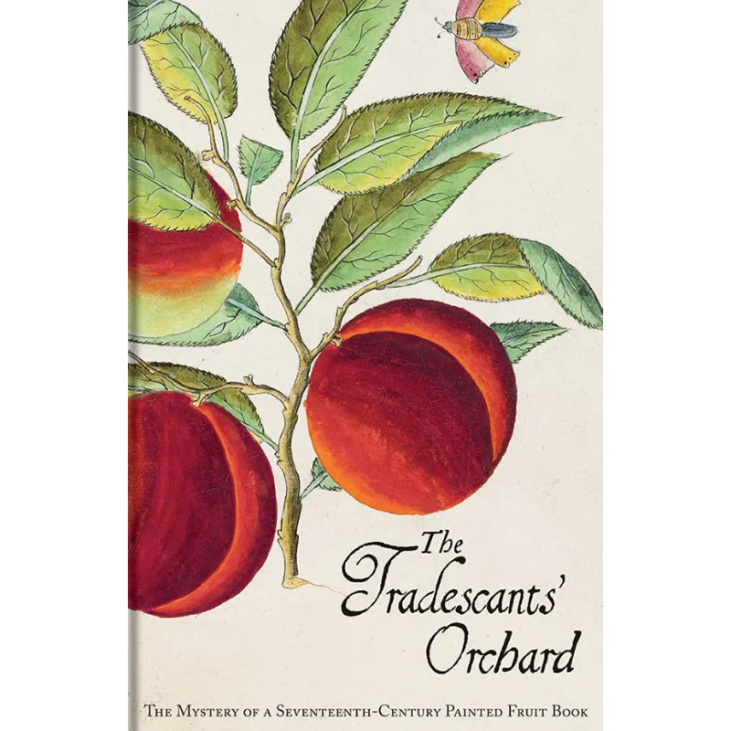 

The Tradescants Orchard The Mystery Of A SeventeenthCentury Painted Fruit Book Barrie Juniper Hanneke Grootenboer 9781851242771