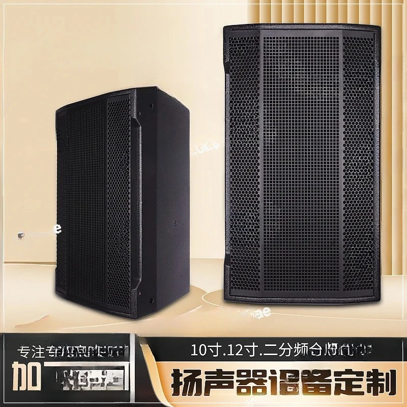 for undertakes project order/professional conference audio 10-inch/12-inch hotel function hall speaker customization