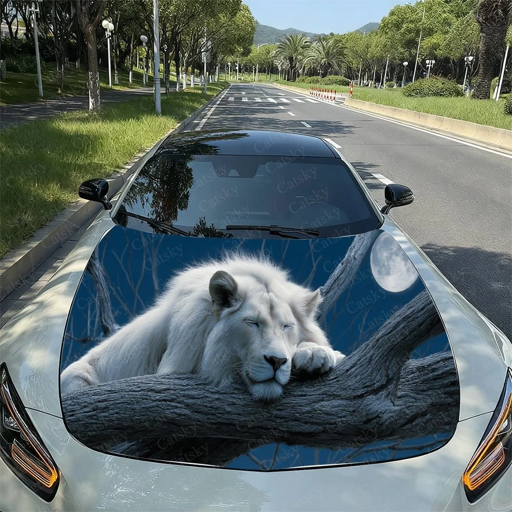 A serene white lion rests on a branch under the moonlight, beautifully printed on a car hood. Perfect for nature and wildlife en