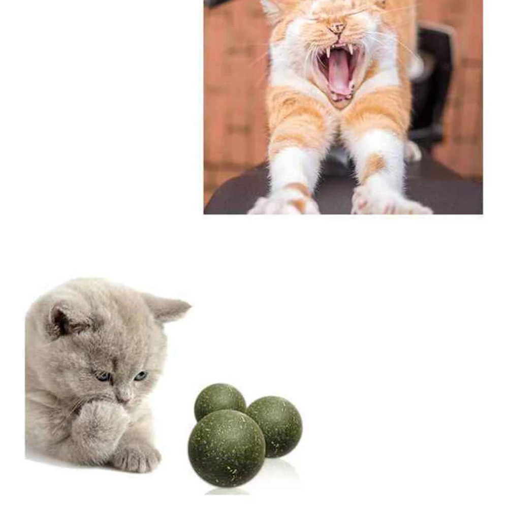 

Catnip Cat Catnip Ball Cat Snack Ball Cat Bite Ball Ball Cat Digestion Promoter