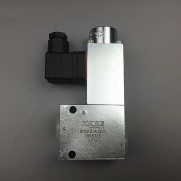 Hot Sale Hawe BVG Series Hydraulic Valve BVG 2 R-G 24 BVG 1 ZD-G 24-3/8 BVG2 Z-G24 Solenoid Valve