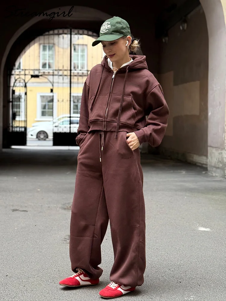 النساء رياضية الشتاء الصوف Sweatsuit البني الدافئة المحاصيل سستة هوديس و Sweatpants مجموعة للنساء 2 قطعة المخملية السراويل مجموعات