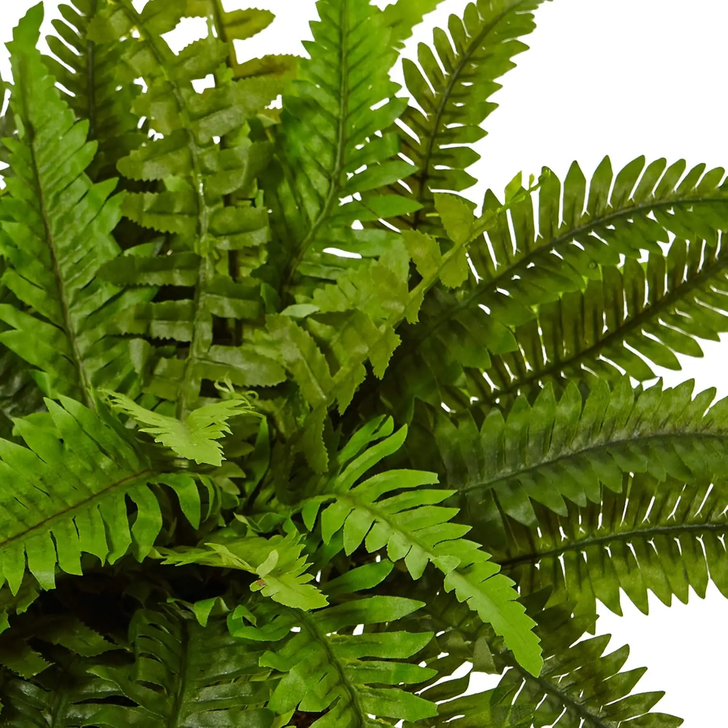 6308 Boston Fern In White Planter Artificial Plant, Green