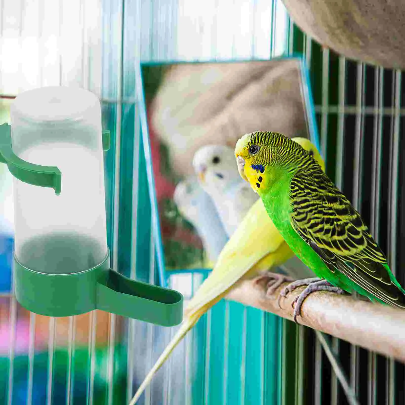 Thumbnail 3 - #15 Bird Feeders Discount Picks