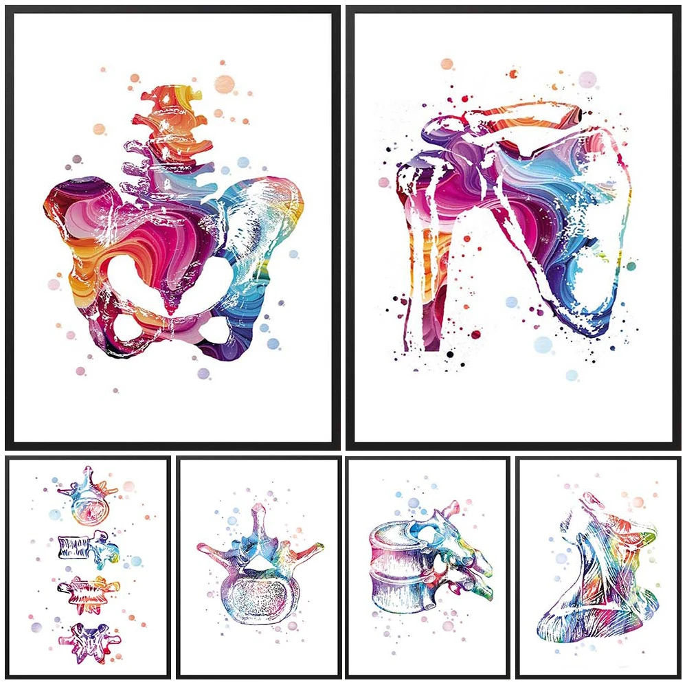 Pelvis Orthopaedics Bone Anatomy Prints Poster Wall Art Canvas Painting Home Decor Wall Pictures For Living Room Unframed