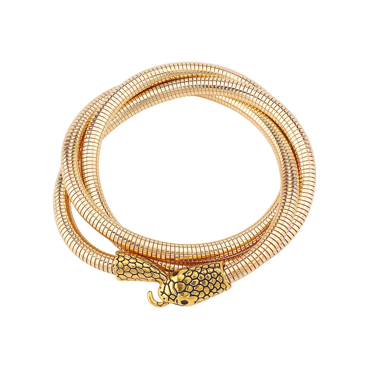 

Трехмерная модель особи Saurogobio dabryi subsp. Металлическое витое ожерелье-браслет Dabryi