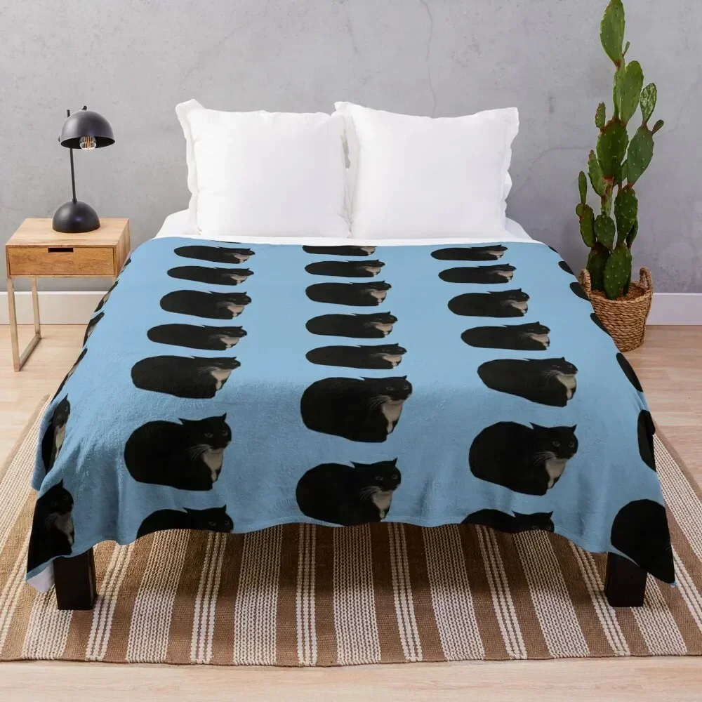 

Maxwell the Cat Throw Blanket Stylish Decor Blanket Gift for Friends Roommate