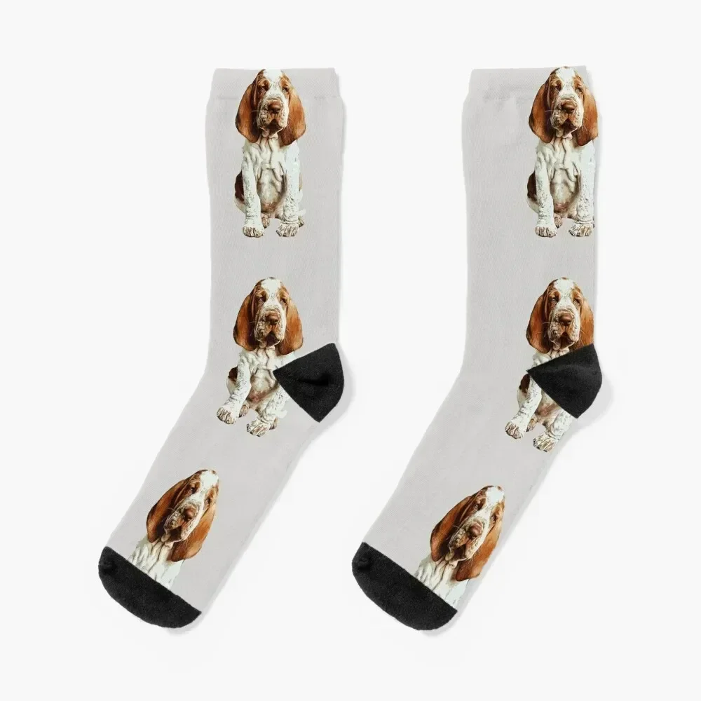 

Bracco Italiano puppy dog Socks Run custom funny gifts gift Socks For Man Women's