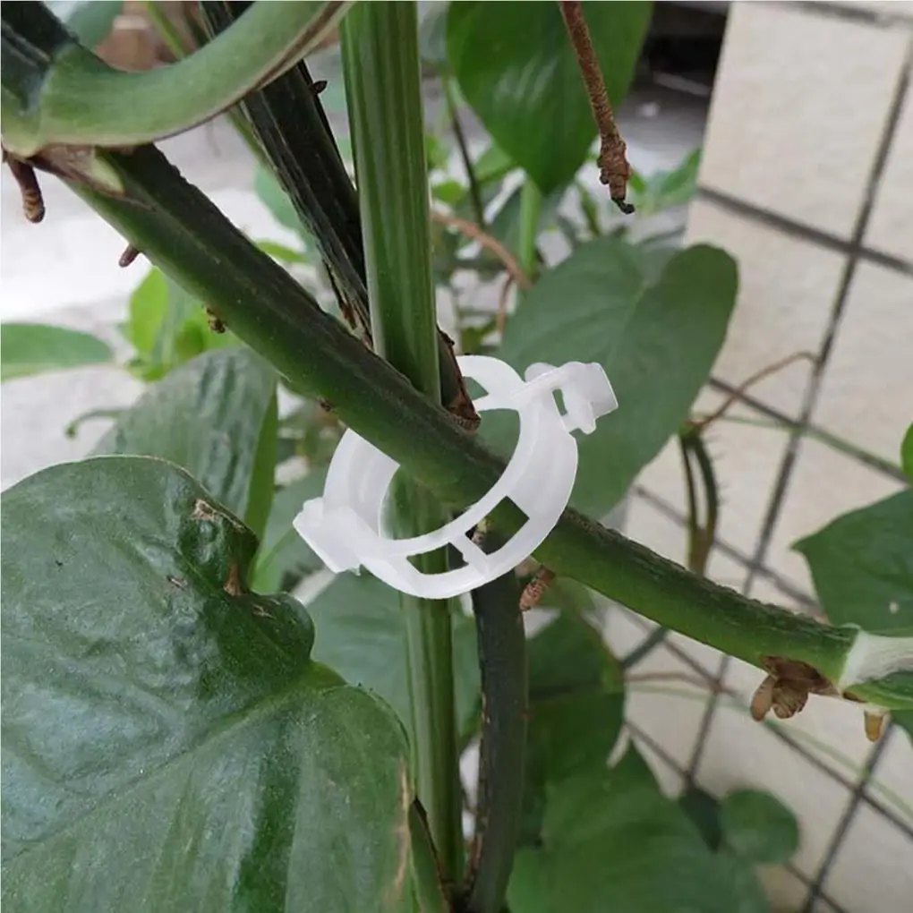 100pcs Plant Vines Fixed Clip Tied Buckle Lashing Hook Agricultural Greenhouse Vegetable Gadget Garden Plastic Fixed Buckle