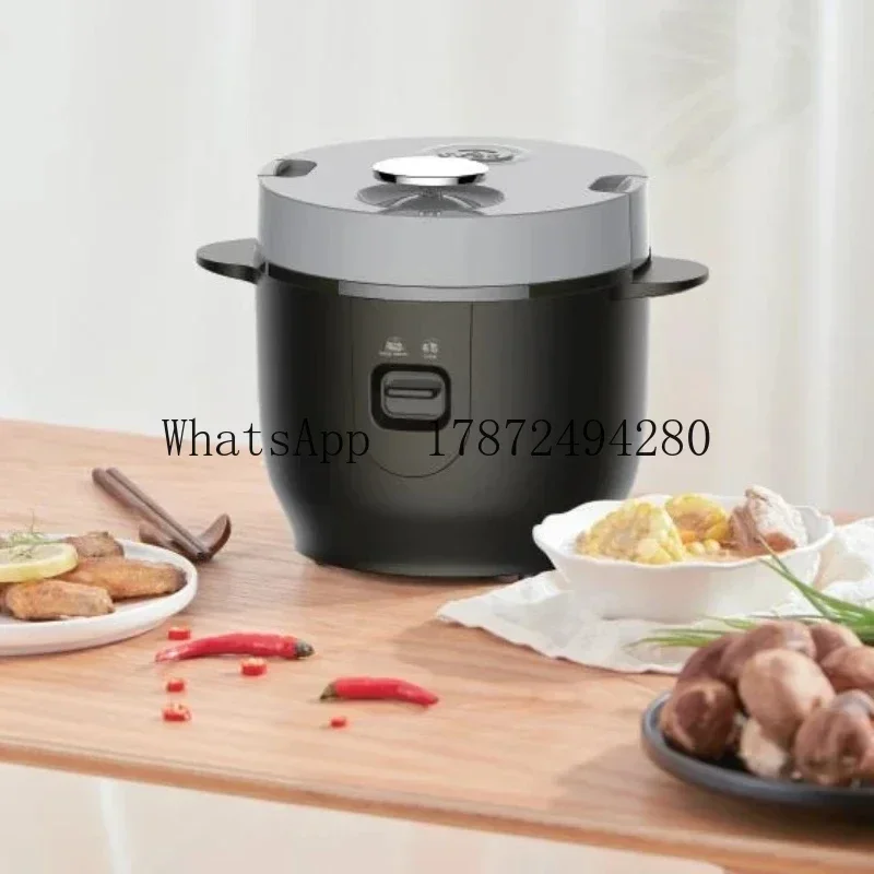 Portable Black Intelligent Electric Cooker 2L, 12V 24V Multi-Power Car Home Dual Use Pot