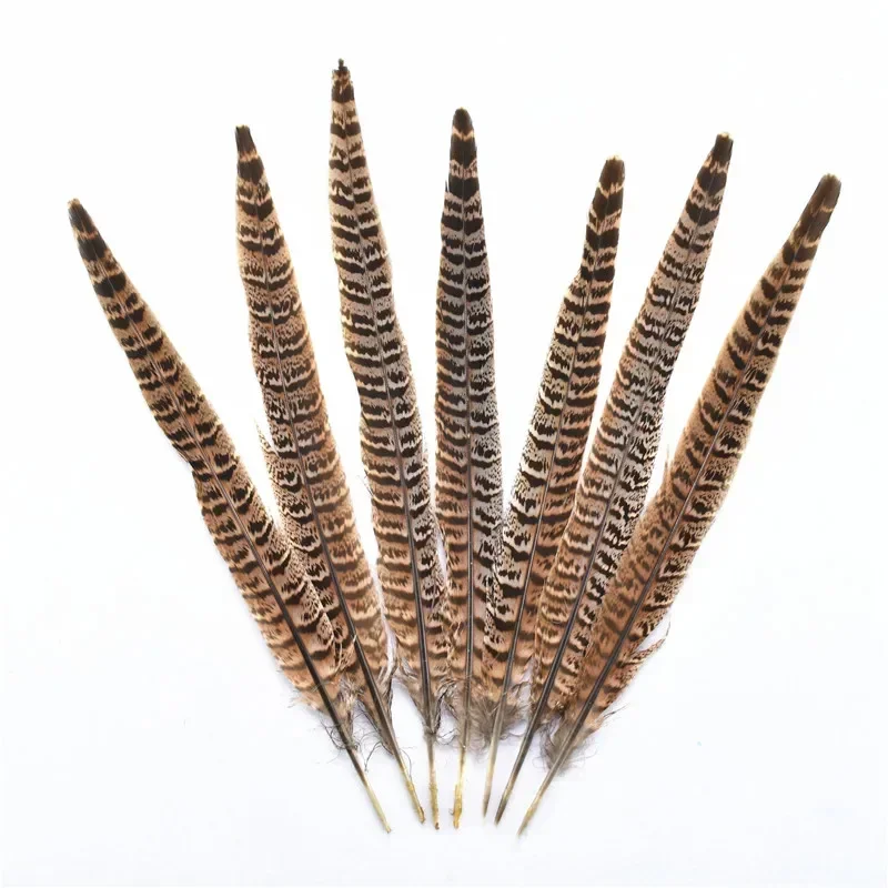 10Pcs/Lot Female Pheasant Tail Feathers for Crafts 25-30CM/10-12